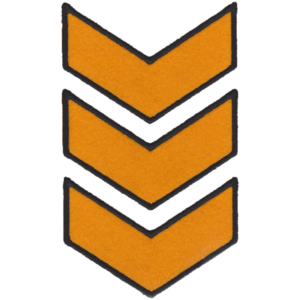 3 CHEVRONS