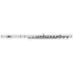 FLUTE
